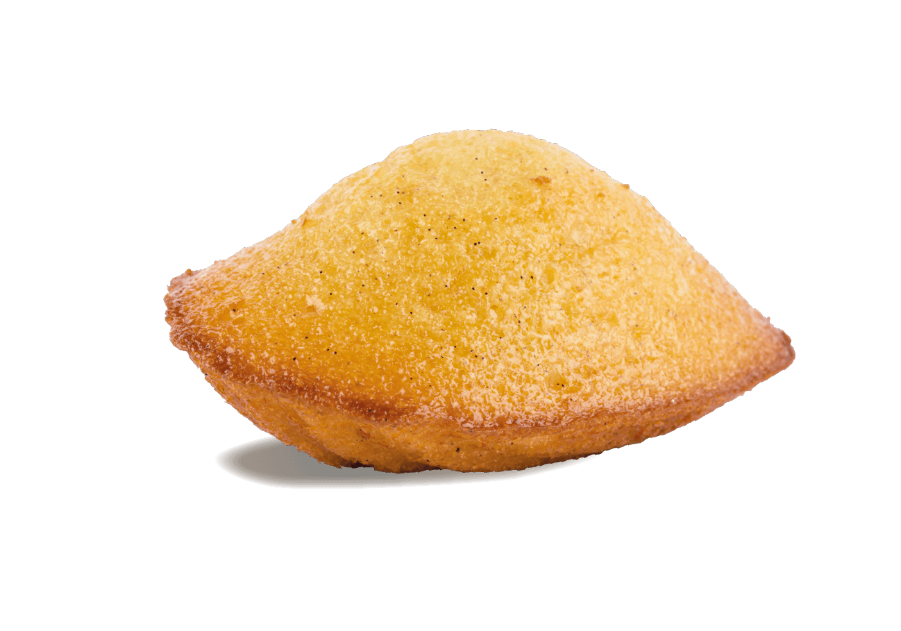 Large Madeleines Pure Butter — Savory Gourmet