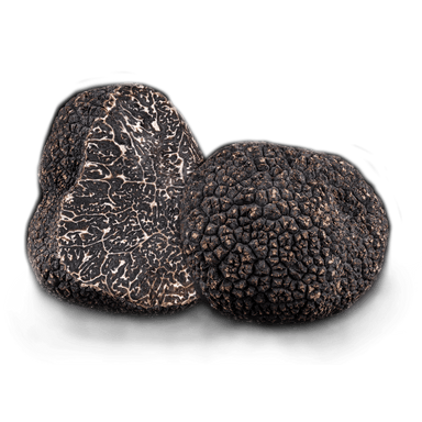 Fresh Winter Black Truffle - Savory Gourmet
