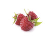 Wild Raspberry Extra Jam - Savory Gourmet