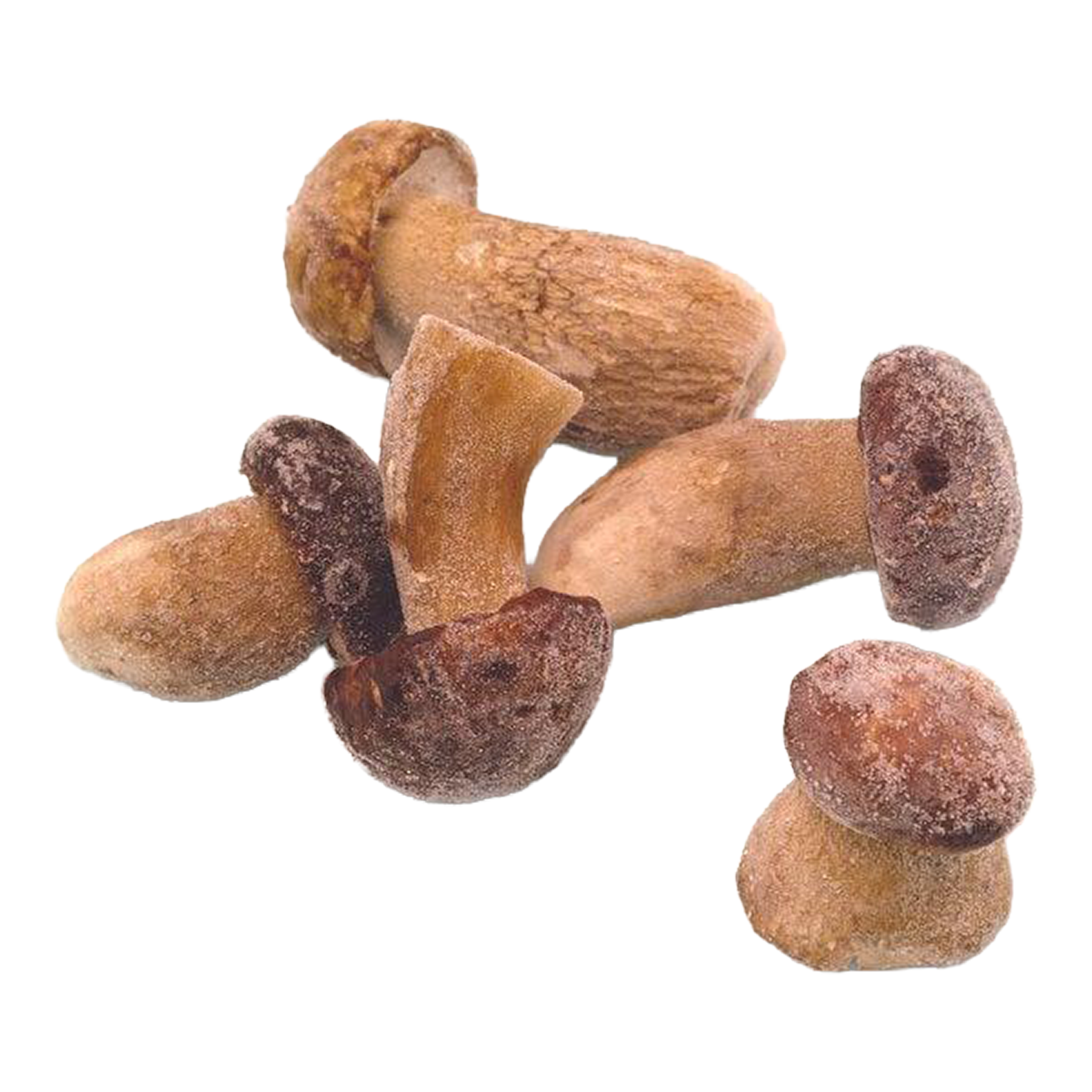 European Frozen Porcini Whole
