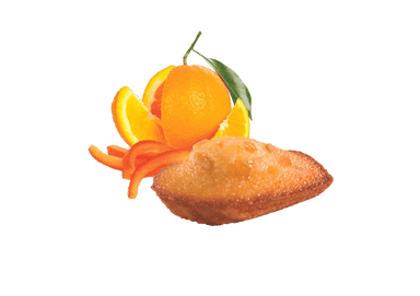Petite Madeleines Candied Citrus - Savory Gourmet