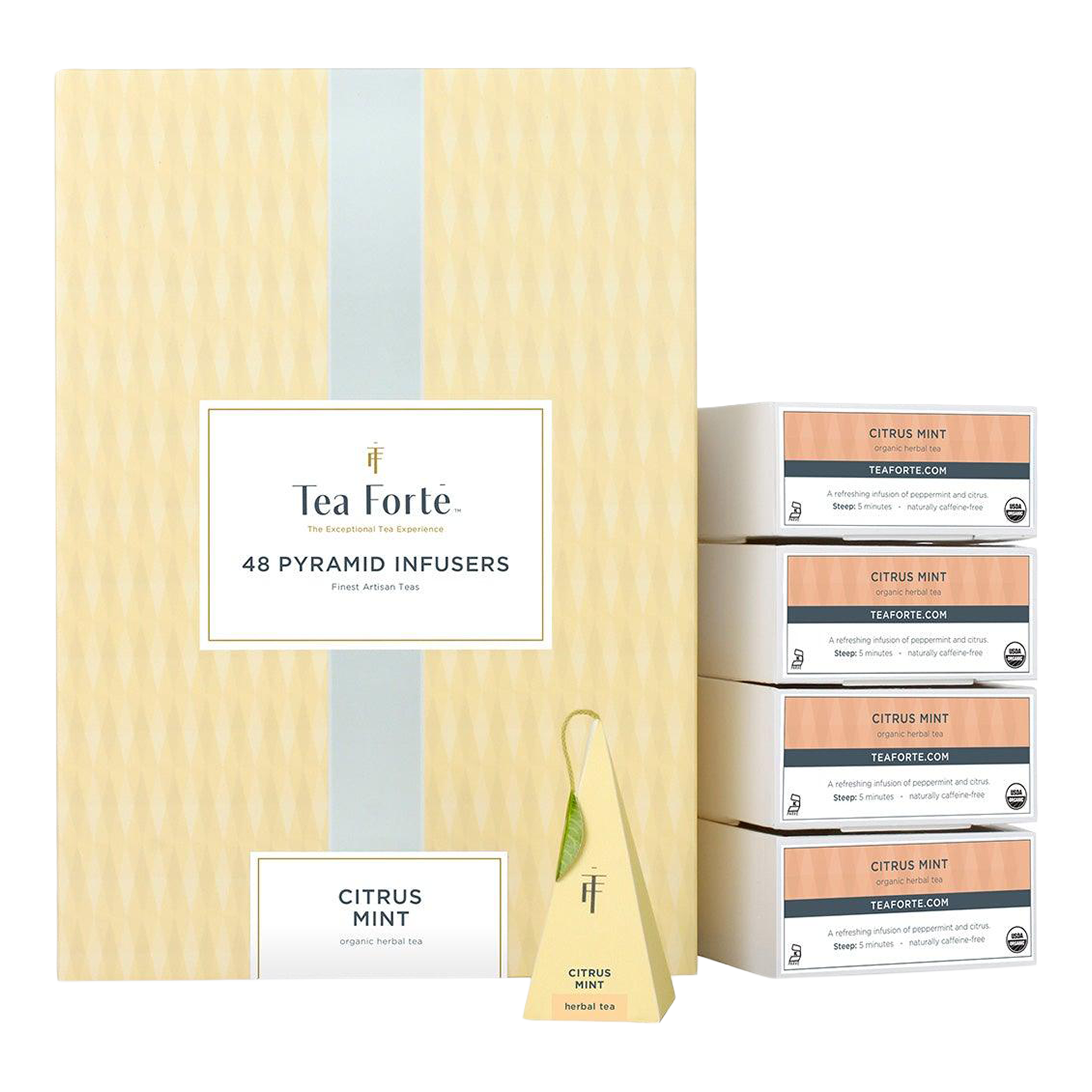 Organic Citrus Mint Box Bulk Infusers