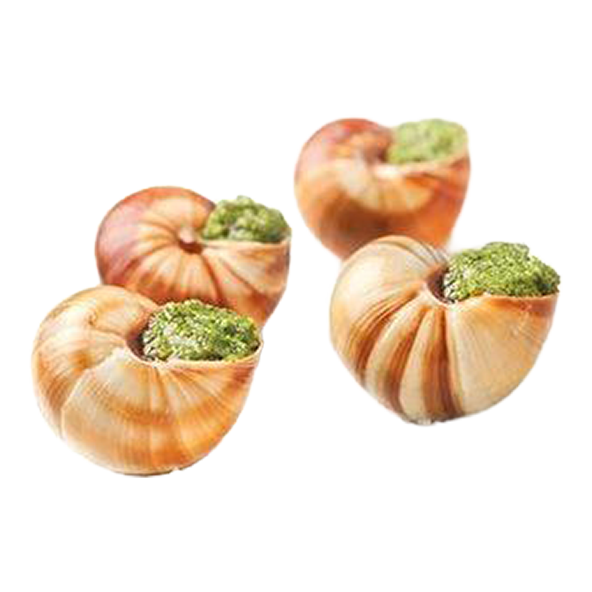 Escargot in Shell with Butter (Snails)