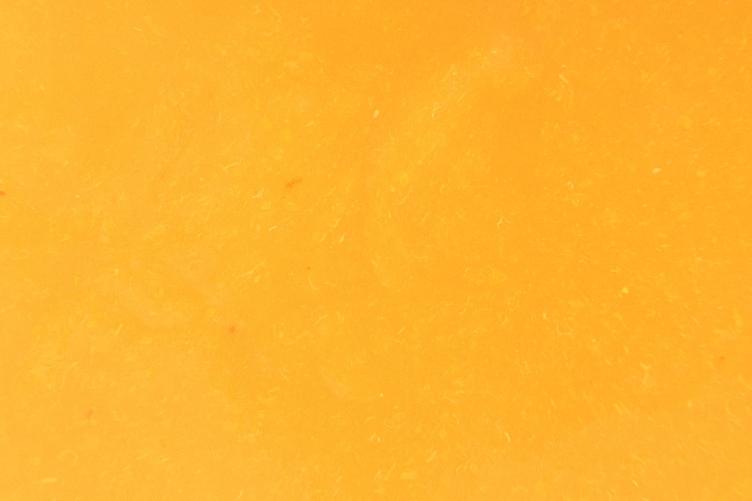 Apricot Puree