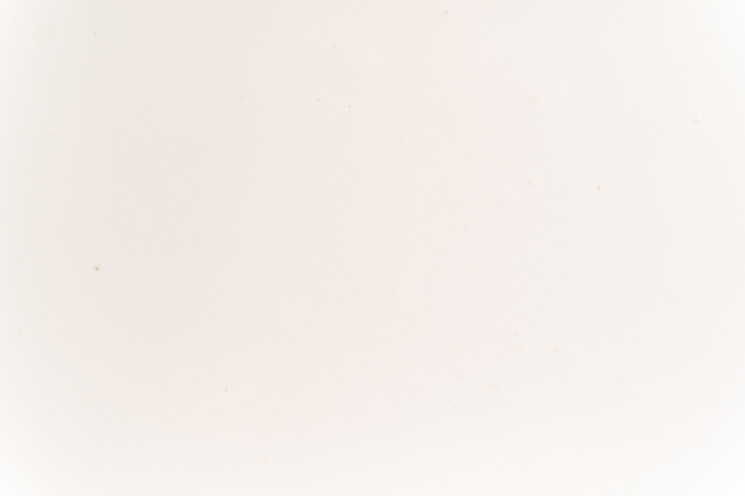 Coconut Puree