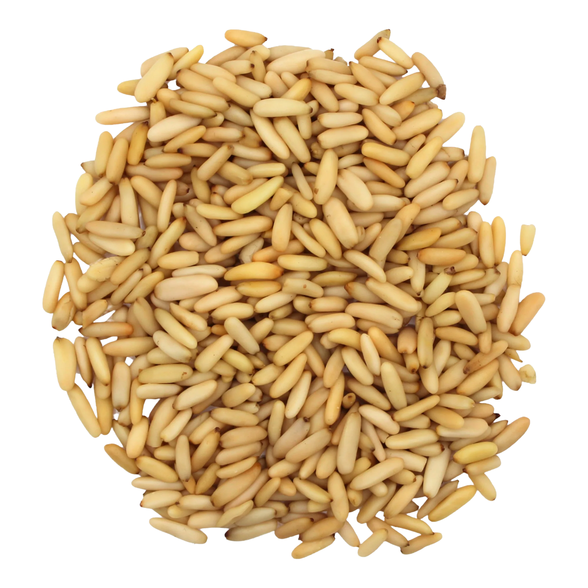 Pine Nuts