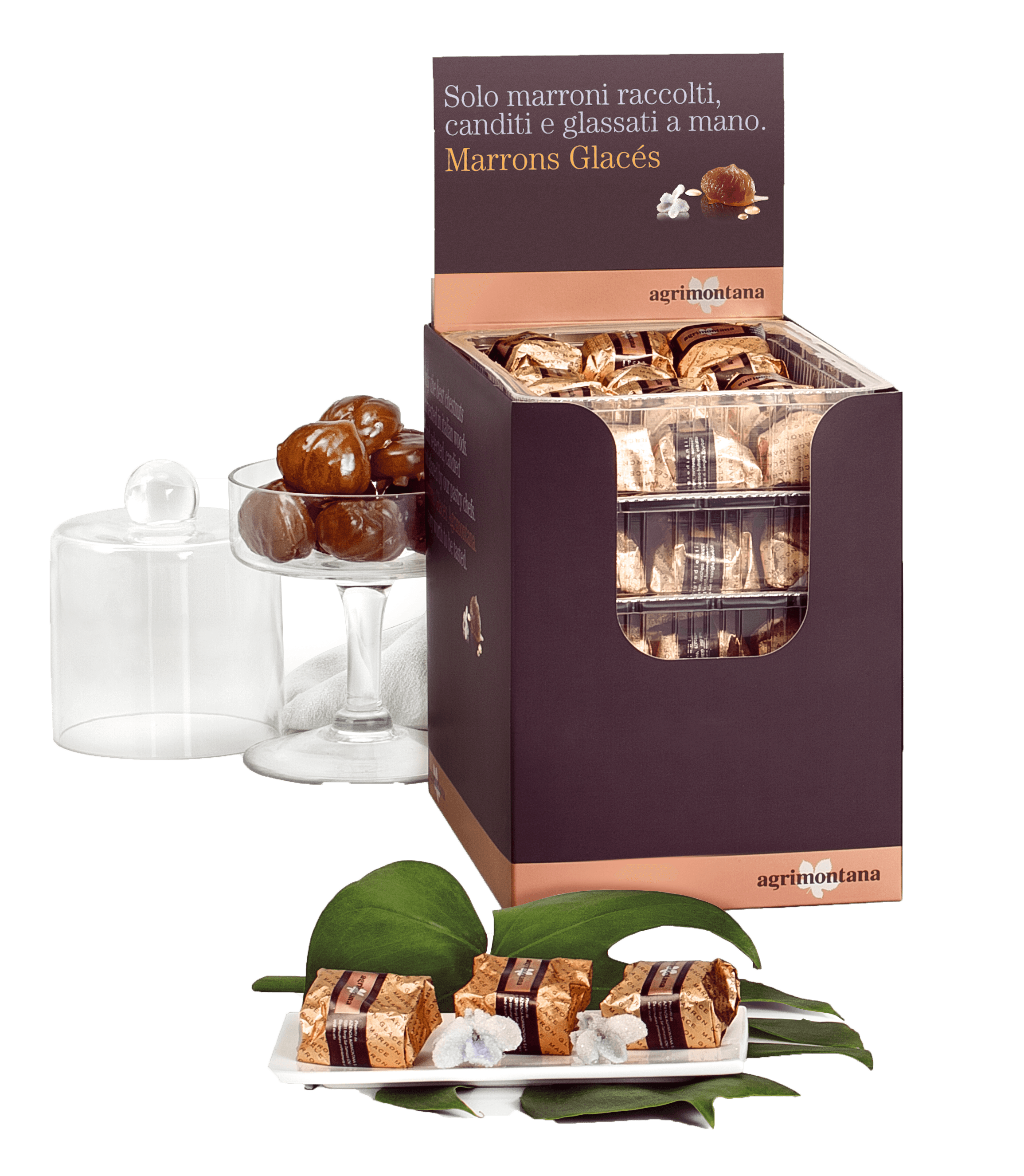 Candied Chestnuts Counter Display - Savory Gourmet