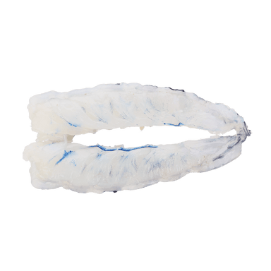 Blue Prawn 12 14/lb - Savory Gourmet