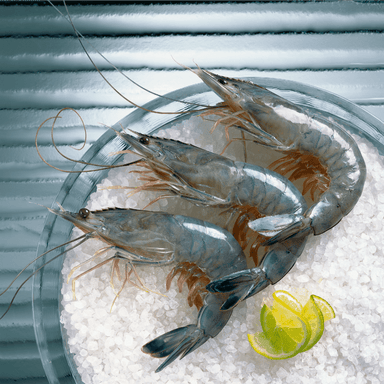 Blue Prawn U8-9 - Savory Gourmet