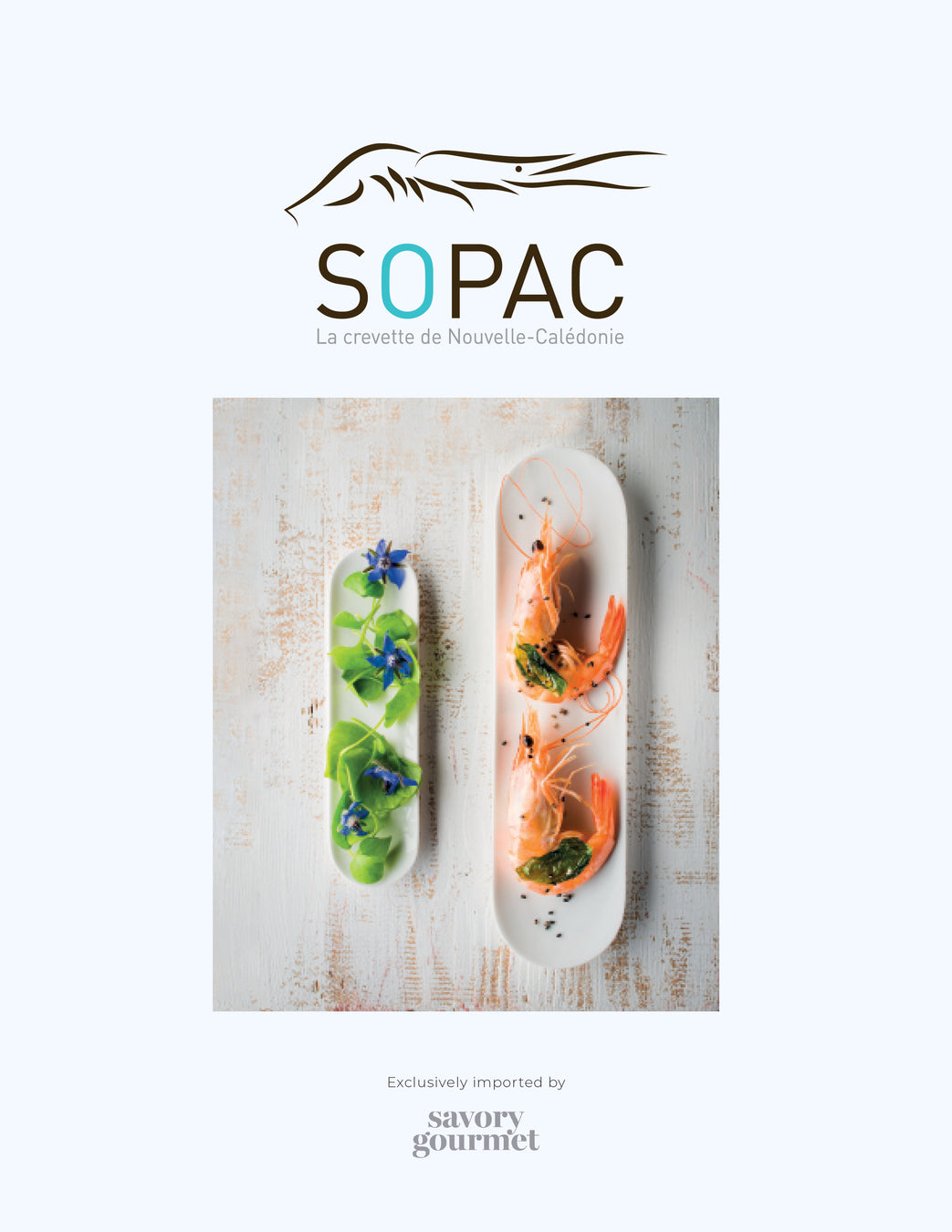 Catalogs — Savory Gourmet