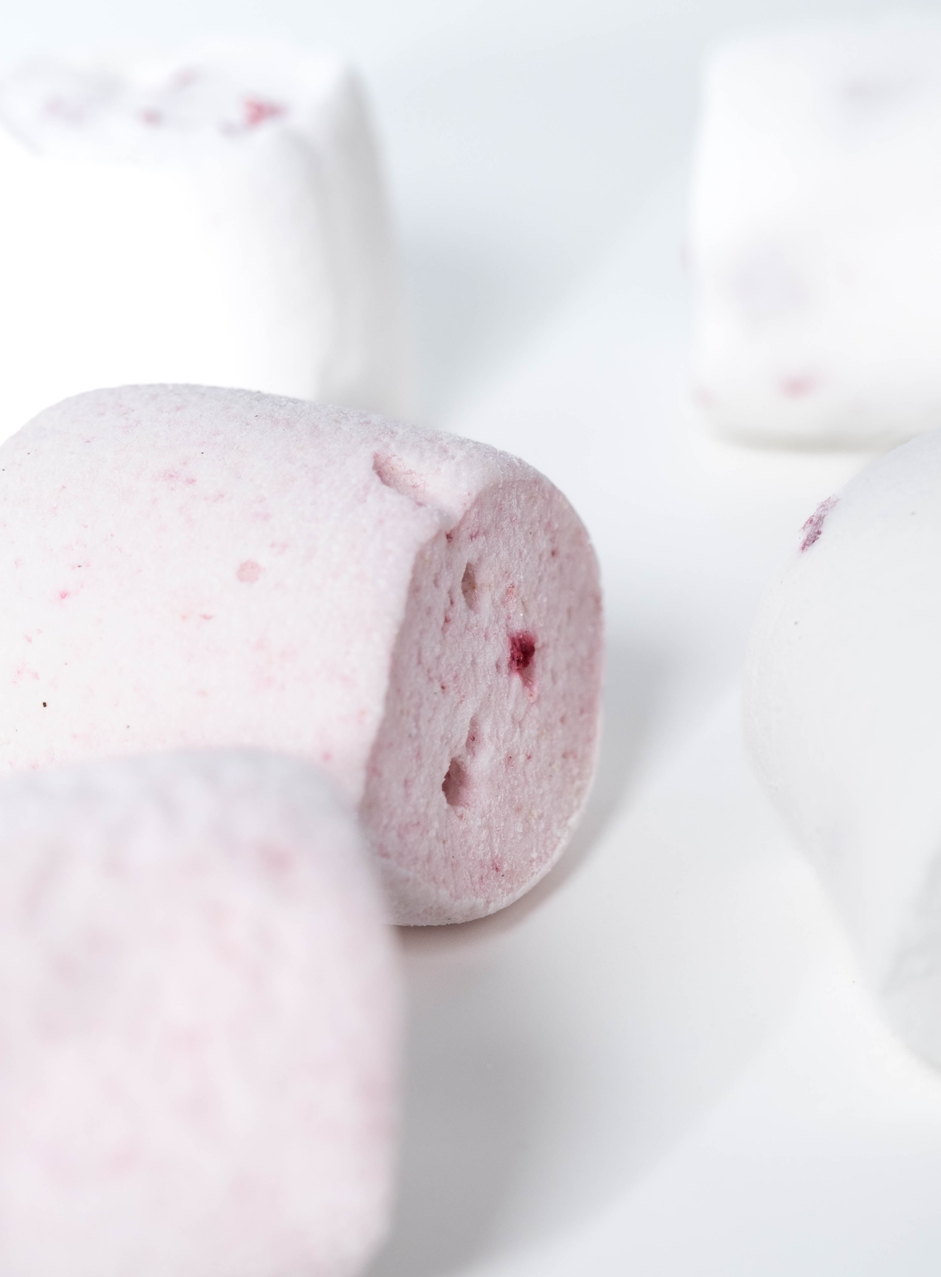 Fish Gelatin Powder 200 Bloom