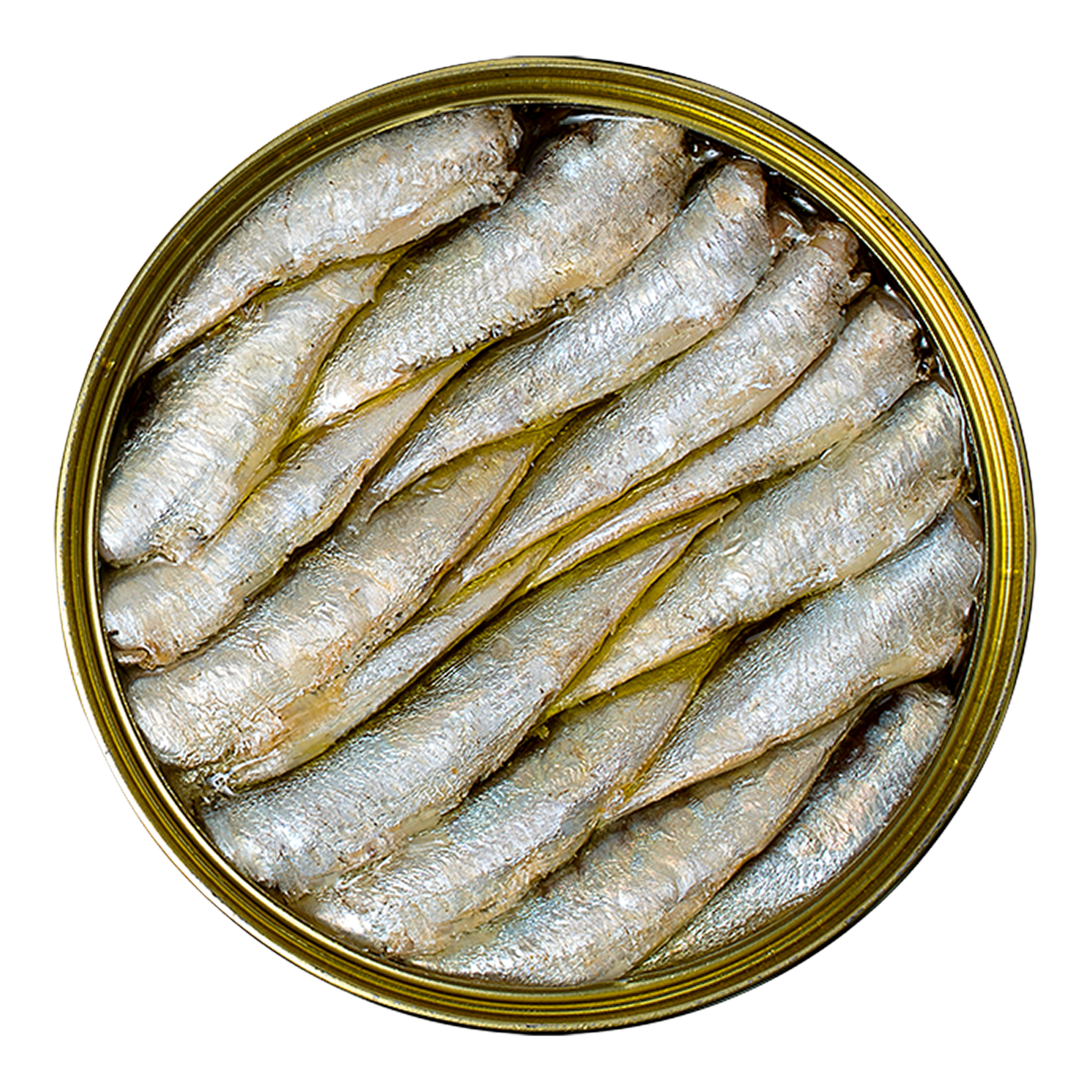 Small Sardines
