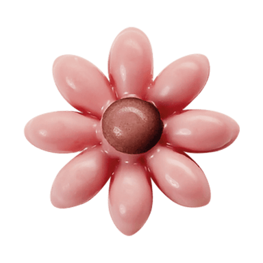 Pink Daisy Flower - Savory Gourmet
