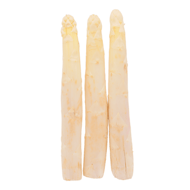 Organic Large White Asparagus - Savory Gourmet