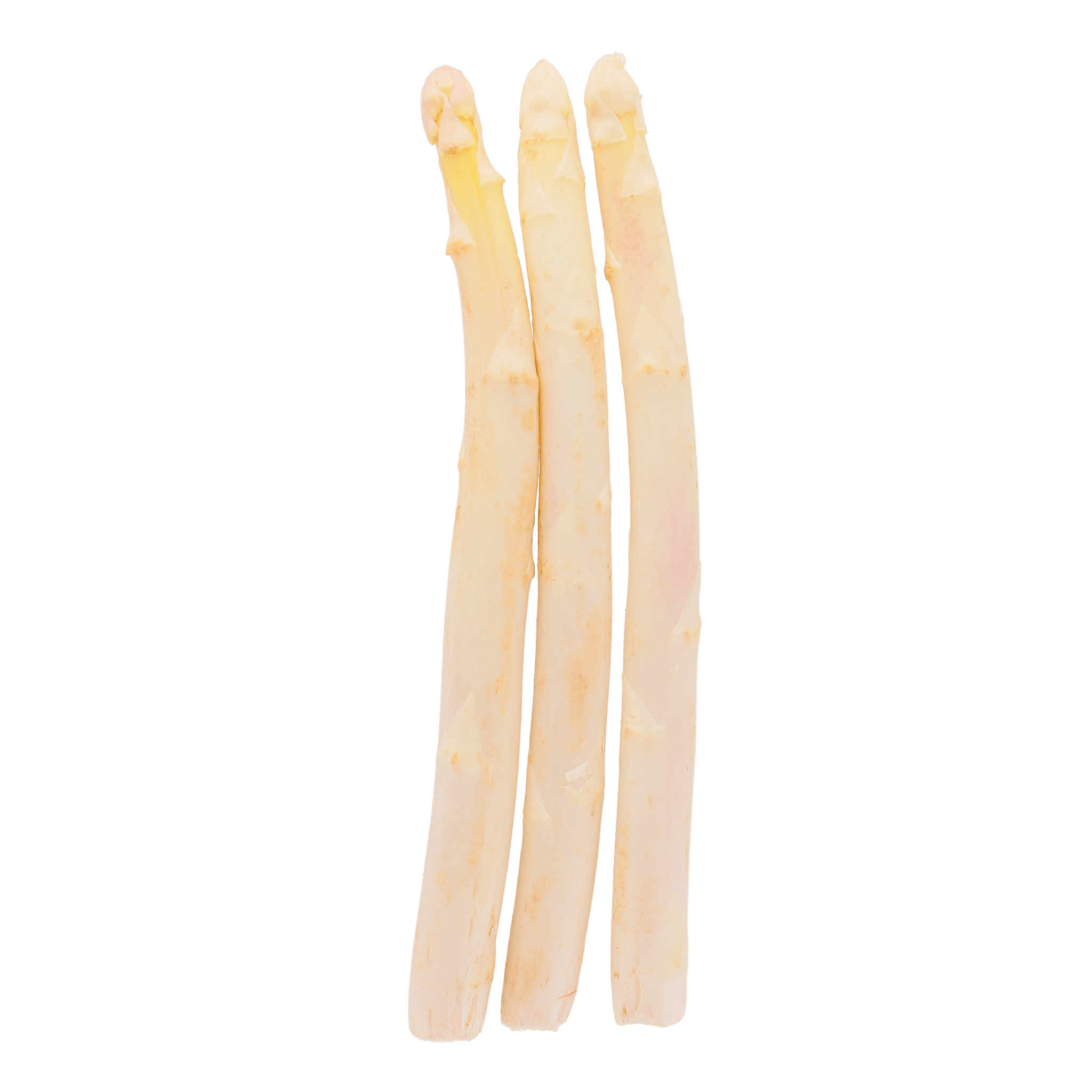 Organic Small White Asparagus - Savory Gourmet