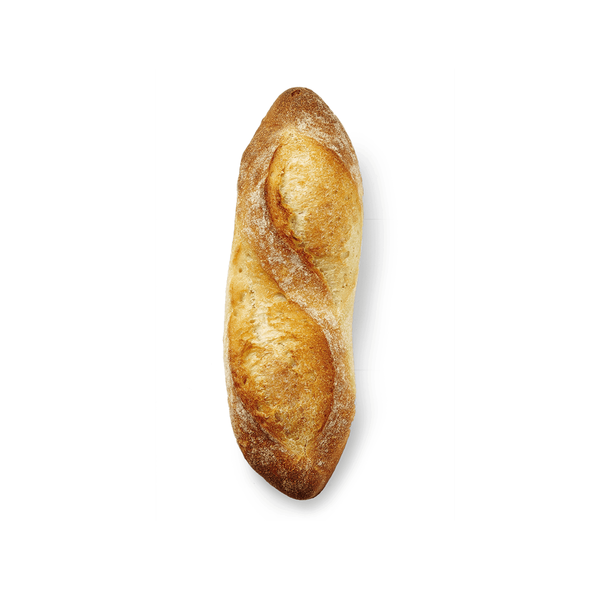 Tradition Demi-Baguette - Savory Gourmet