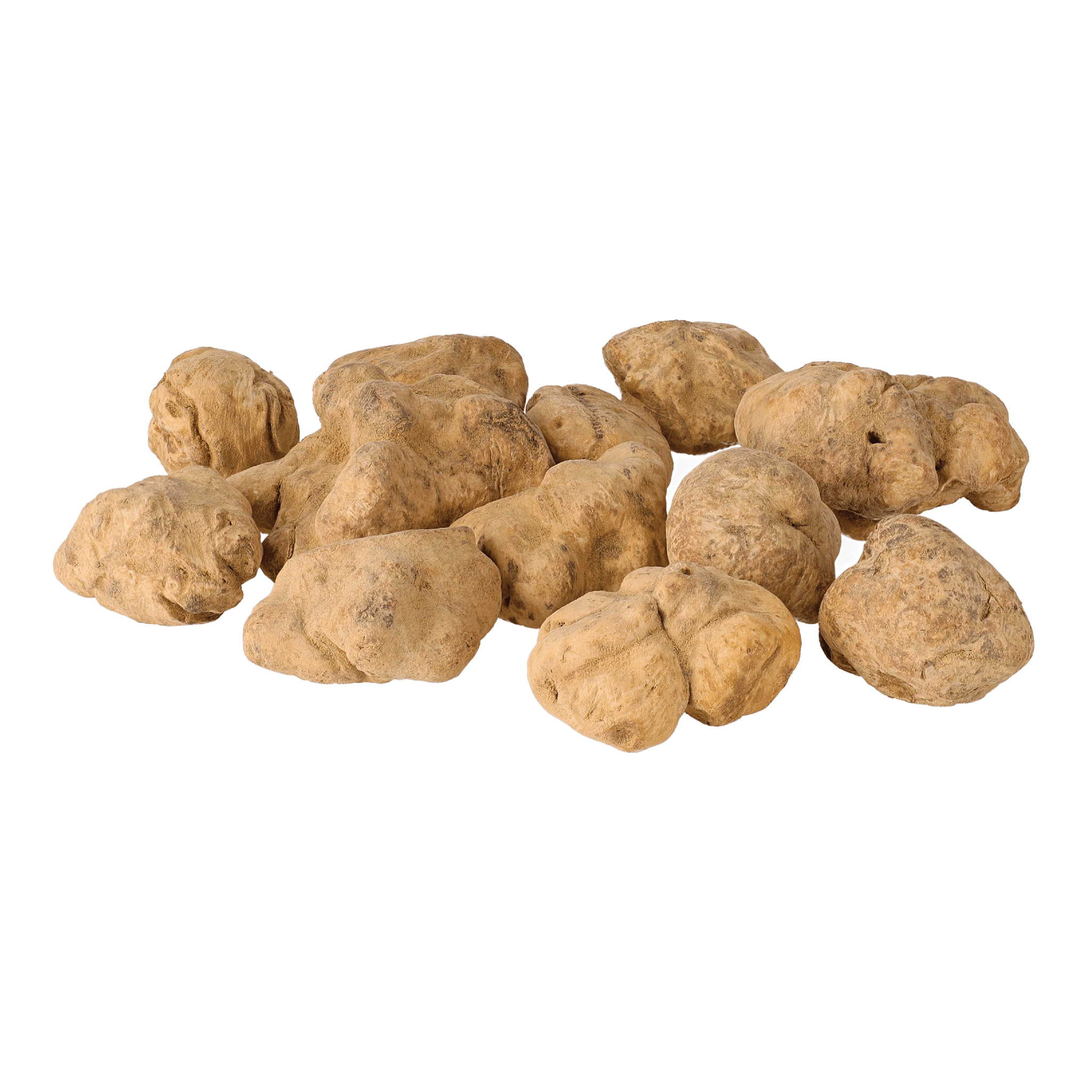 Truffle GOURMET – Alba Tartufi