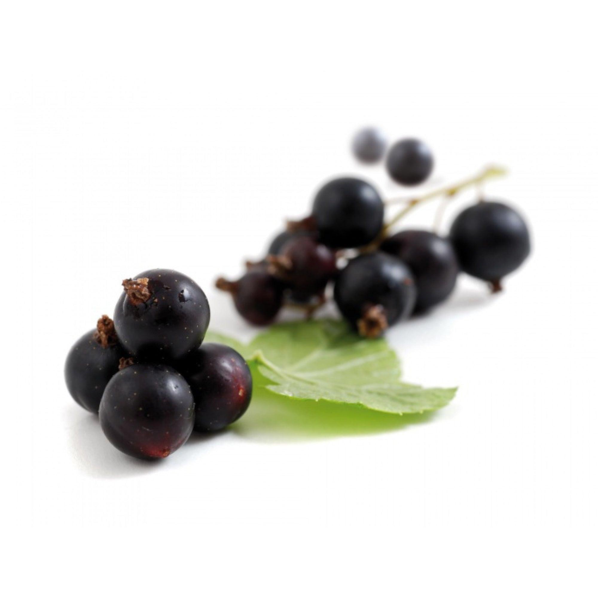 Wild Blackberry Purée - Savory Gourmet
