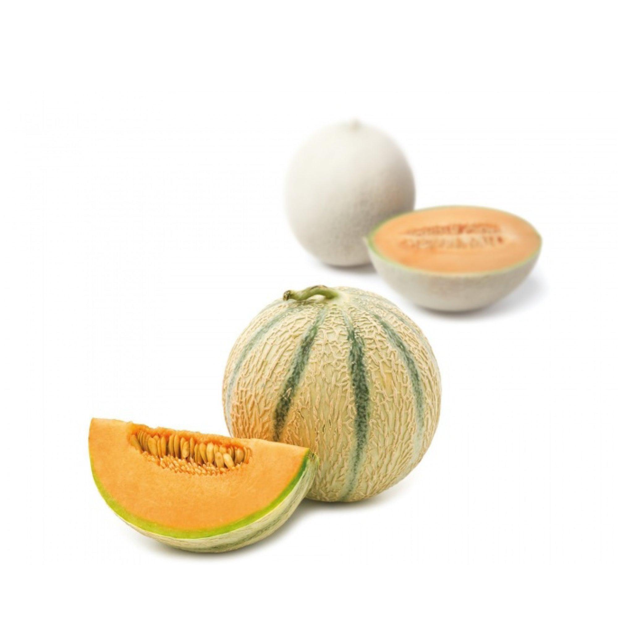 Melon Purée - Savory Gourmet