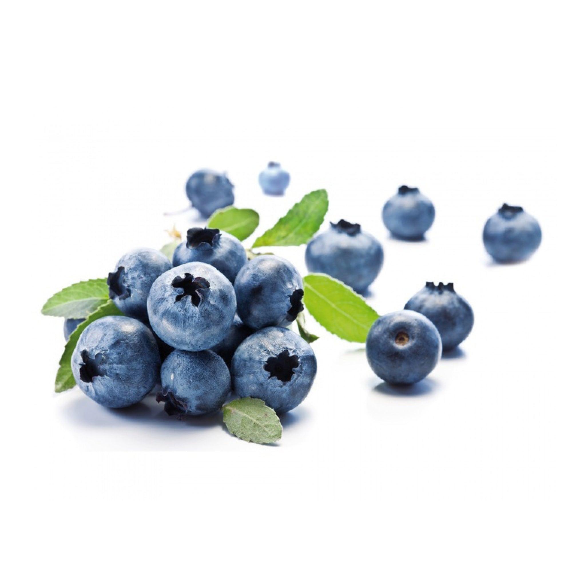 Wild Blueberry Purée - Savory Gourmet