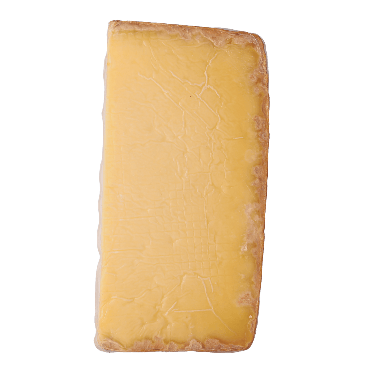What's the White Stuff on Cheese?
