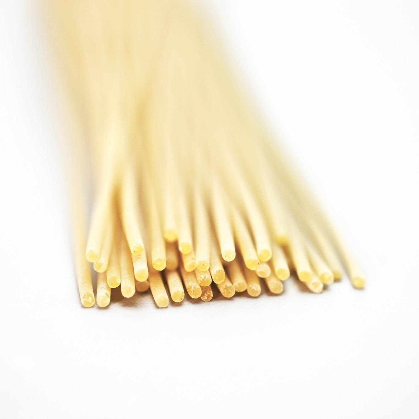 Spaghetti - Savory Gourmet