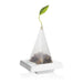 Orchid Tea Tray Box - Savory Gourmet
