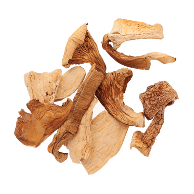 Dry Mushroom Mix - Savory Gourmet
